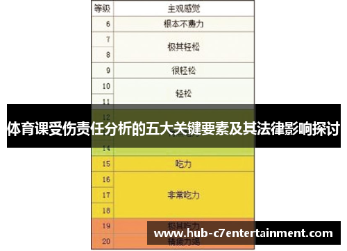 体育课受伤责任分析的五大关键要素及其法律影响探讨