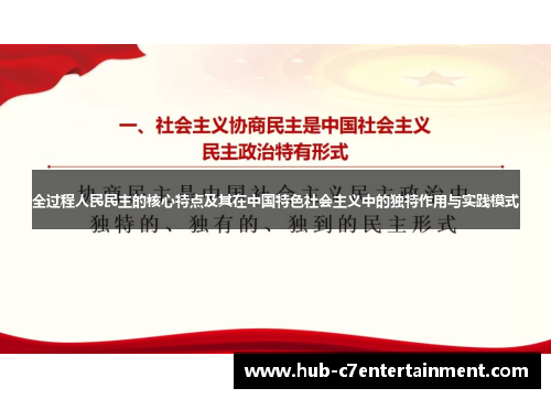 全过程人民民主的核心特点及其在中国特色社会主义中的独特作用与实践模式