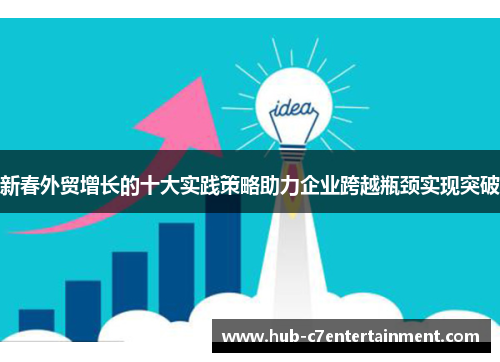 新春外贸增长的十大实践策略助力企业跨越瓶颈实现突破
