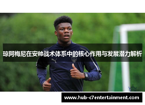 琼阿梅尼在安帅战术体系中的核心作用与发展潜力解析