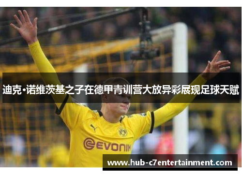 迪克·诺维茨基之子在德甲青训营大放异彩展现足球天赋