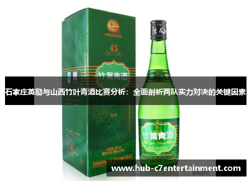 石家庄英励与山西竹叶青酒比赛分析：全面剖析两队实力对决的关键因素