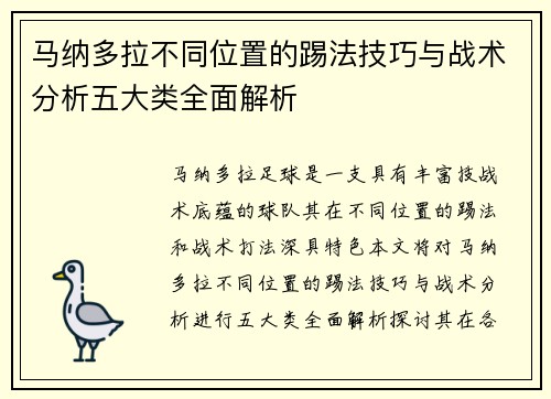 马纳多拉不同位置的踢法技巧与战术分析五大类全面解析